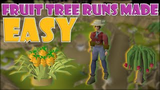 Quick Guide to Fruit Tree Runs in OSRS [upl. by Llertnahs]