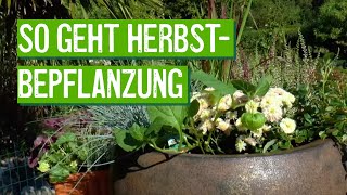 Herbstbepflanzung für Kästen und Kübel [upl. by Nhguavoj]