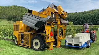 Grape Harvester  How It Works [upl. by Eicnahc]