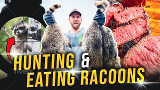 Hunting And Eating Raccoon Catch Clean Cook [upl. by Iruahs]