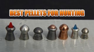 Best Airgun Pellets for Hunting  Madman Review [upl. by Aicilet107]