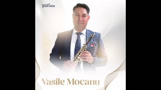 VASILE MOCANU 2023 [upl. by Ransom]