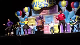 The Wiggles Say The Dance Do The Dance live Ottawa ON Canada Oct 4th 2018 [upl. by Fowle288]