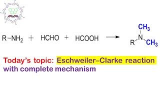 Eschweiler–Clarke reaction Methylation on amines [upl. by Tobye]