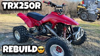 TRX250R Rebuild [upl. by Nira]