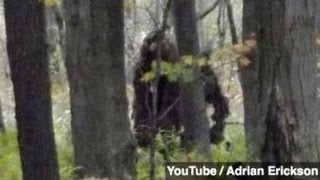 New Footage DNA Prove Bigfoot Exists Group Says [upl. by Gombach]