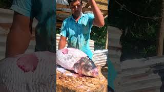 Soo Good World Master Fast Fish Cutting Skills Giant 50kg Catla Fish Cutting shorts [upl. by Nehtanoj]