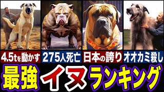 【衝撃】世界最強の犬がヤバすぎる…最強の犬種ランキングTOP5【ゆっくり解説】 [upl. by Epstein208]