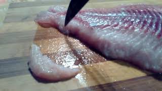 trimming catfish fillets for better taste [upl. by Leryt]