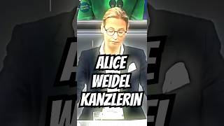 INSAUmfrage Weidel vor Scholz in Kanzlerfrage  AfD und CDU mit starken Zuwächsen in Sonntagsfrage [upl. by O'Driscoll]