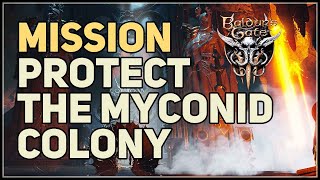 Protect the Myconid Colony Baldurs Gate 3 [upl. by Keavy]