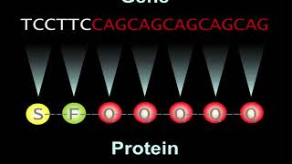 How NFL protein may be a gamechanger for therapeutic development in Huntington’s Disease [upl. by Mohkos]