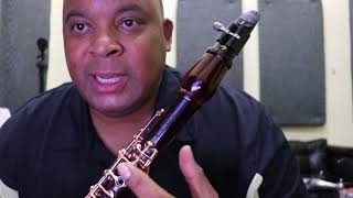 Clarinet Beginner lesson  Easy to Remember A B C D E F G Style [upl. by Possing639]