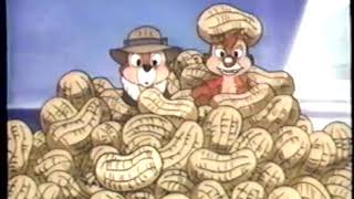 Chip n Dale Rescue Rangers quotDanger Rangers Editionquot OpeningTV Theme  August 14 1990 [upl. by Oyr]