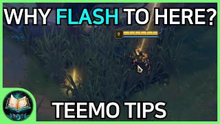 Finally a PRO TEEMO Guide [upl. by Suiraj356]