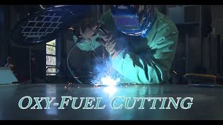 Welding Safety Video  Quality Welder Safety Training [upl. by Elyrpa]