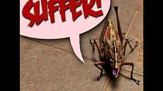 Rapture palooza  Suffer Suffer Suffer Bug [upl. by Atnovart]