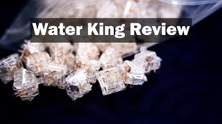 Everglide WaterAqua King V3 Review  A Unique Linear Experience [upl. by Felecia120]