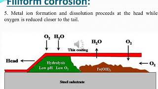 Filiform corrosion [upl. by Cherri]