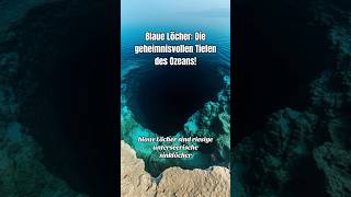 Blaue Löcher  die geheimnisvollen Tiefen des Ozeans 🌊 ozean meerestiere wissenswert [upl. by Candi]