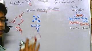 Hemagglutination assay [upl. by Htebizile]