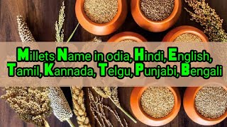 Different type of Millets in English Oriya Hindi Bengali Punjabi Telugu Kannada and tamil [upl. by Mcmahon]