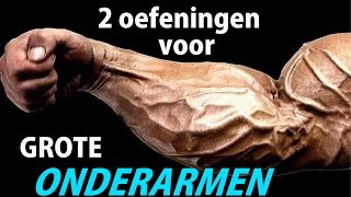 GESPIERDE ONDERARMEN  2 Beste Oefeningen [upl. by Secnarf]