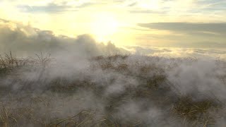 Make seethrough fog patches by using Maya fluids and render in Arnold [upl. by Ardnad]