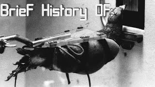 A Brief History of Project Pigeon Project Orcon [upl. by Adnola]