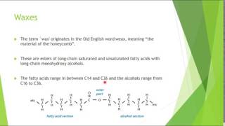 Waxes Structure and Functions [upl. by Arny]