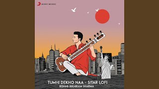 Tumhi Dekho Naa Sitar Lofi [upl. by Baal363]