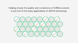 Dr Oligo 192  DNA  RNA Oligonucleotide Synthesizer  Demo [upl. by Carola]