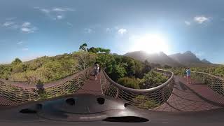 Kirstenbosch Botanical Garden VR Experience [upl. by Leamsi647]