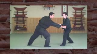 SAN SHIN NO KATA Beyond Basic Forms BujinkanNinjutsu [upl. by Storfer]