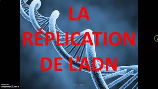 La réplication de lADN et la duplication des chromosomes au cours de la phase S [upl. by Torres321]