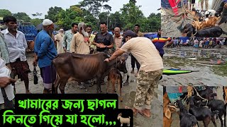 খামারের জন্য ছাগল কিনতে গিয়ে যা হলো🐐 [upl. by Enwad]