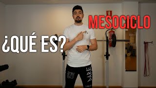 Qué es un MESOCICLO de ENTRENAMIENTO ❓ Conceptos BÁSICOS [upl. by Akineg358]