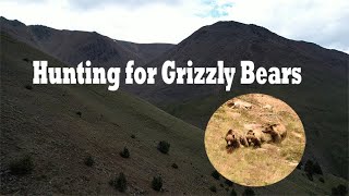 Searching for Grizzlies Wyoming Public Land [upl. by Aleron]