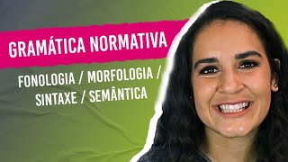 GRAMÁTICA NORMATIVA Fonologia Morfologia Sintaxe Semântica Aprenda a diferenciar [upl. by Adams]