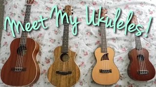 Meet My Ukuleles Comparison of Soprano Concert Tenor and Baritone [upl. by Greenwell699]