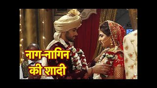 Phir Laut Aayi Naagin RajNandinis WEDDING TWIST [upl. by Attenat732]