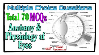 70 MCQs  Anatomy amp Physiology of Eyes [upl. by Ahsier]