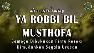 Ya Robbi Bil Musthofa  Semoga Dibukakan Pintu Rezeki  Sholawat Nabi Muhammad SAW Merdu [upl. by Isia]