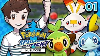 Unser NEUES Abenteuer 😍 Pokémon Schwert Nuzlocke [upl. by Ivett695]