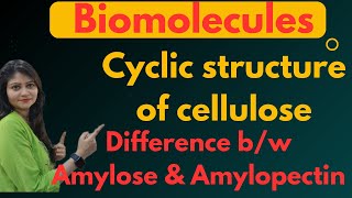 Cyclic Structure Of Cellulose  Difference Between Amylose And Amylopectin 😱😱🔥🔥 [upl. by Qifar]