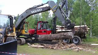 Excavator Splitting wood prep for wood processor [upl. by Ursa]