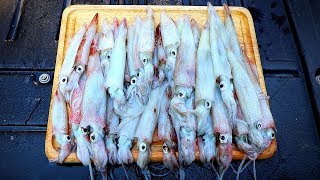 Catch and Cook SQUID JIGGING for Squid [upl. by Amilah714]