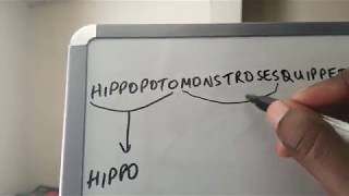 Hippopotomonstrosesquippedaliophobia meaning  Meaning of hippopotomonstrosesquippedaliophobia [upl. by Cleave]