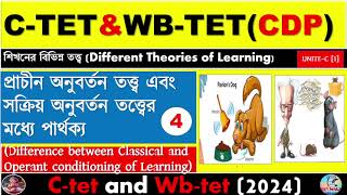 Different Between Classical And Operant Congratulations theoryLearning TheoryCtet And Wbtet [upl. by Hinkle]