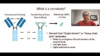 Caroline talks about Nanobodies [upl. by Adonis]